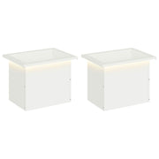 Plantenbakken 2 stuks staal wit 30x40x30 cm LED