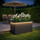 Plantenbak met led 30x60x30 cm staal zwart
