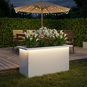 Plantenbak 30x60x30 cm staal wit met led