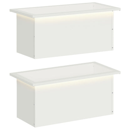 Plantenbak met led 2 st Wit 30 x 60 x 30 cm Staal