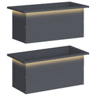 Plantenbak set 2 stuks 60x30x30 cm staal antraciet LED
