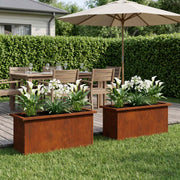 Plantenbak 30x80x30 cm roestkleurig metaal met led