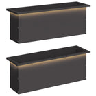 Plantenbak staal zwart 30x100x30 cm led
