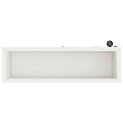 Plantenbak met led 2 st Wit 30 x 100 x 30 cm Staal