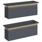 Plantenbak set 2 stuks antraciet 100x30x30 cm staal