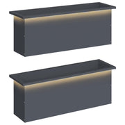 Plantenbak set 2 stuks antraciet 100x30x30 cm staal