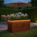 Plantenbak 40x80x40 cm weervast staal met led roestkleurig