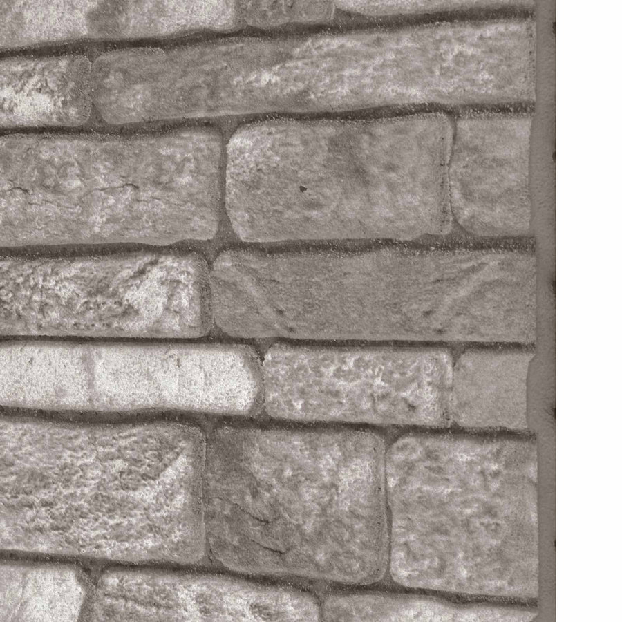 Wandpanelen 10 pcs Donkergrijs 100 x 50 cm EPS-schuim