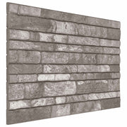 Wandpanelen 10 stuks donkergrijs 100x50 cm EPS-schuim