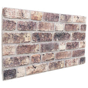 Wandpanelen 10 stuks donkerbruin 100x50 cm EPS-schuim