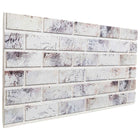 Wandpanelen 10 stuks lichtgrijs zwart 100x50 cm EPS-schuim