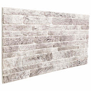 Wandpanelen 10 stuks 100x50 cm lichtgrijs wit EPS-schuim