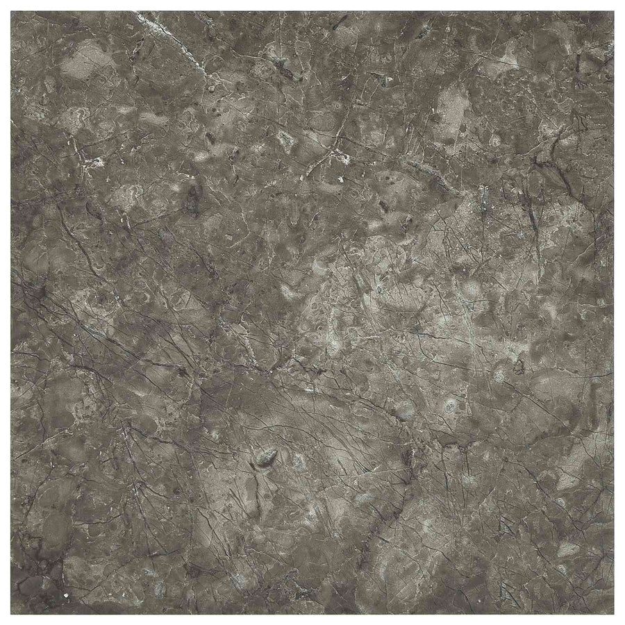 Zelfklevende Vloerplanken 30,5 x 30,5 cm 20 pcs PVC