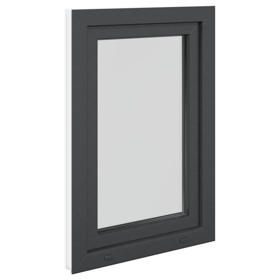 Kelderraam RISOR Antraciet 60 x 100 cm PVC en glas