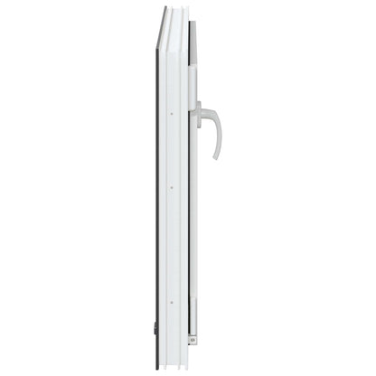 Kelderraam RISOR Antraciet 80 x 70 cm PVC en glas