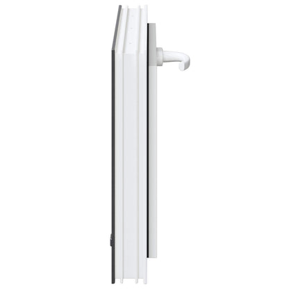 Kelderraam RISOR 60 x 40 cm PVC en glas Antracietkleurig
