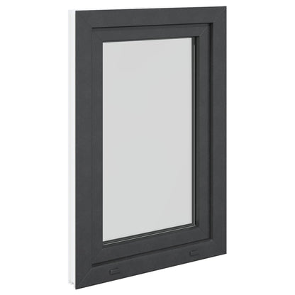 Kelderraam RISOR Antraciet 60 x 100 cm PVC en glas