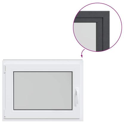 Kelderraam RISOR Antraciet 80 x 60 cm PVC en glas
