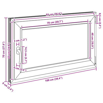 Kelderraam RISOR Antraciet 100 x 70 cm PVC en glas