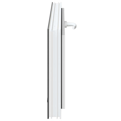 Kelderraam RISOR 110 x 40 cm PVC en glas Antracietkleurig