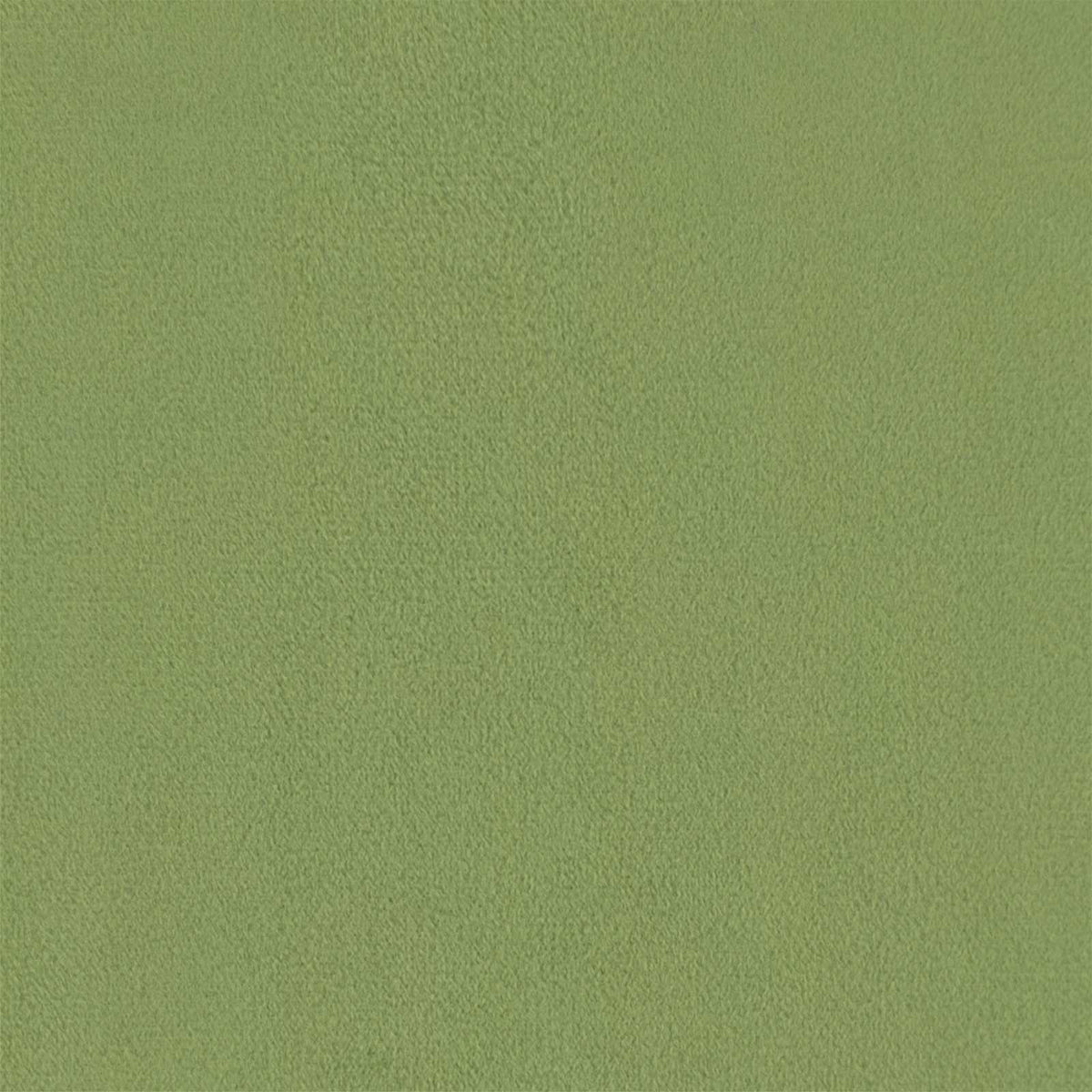 Fauteuil Lichtgroen fluweel
