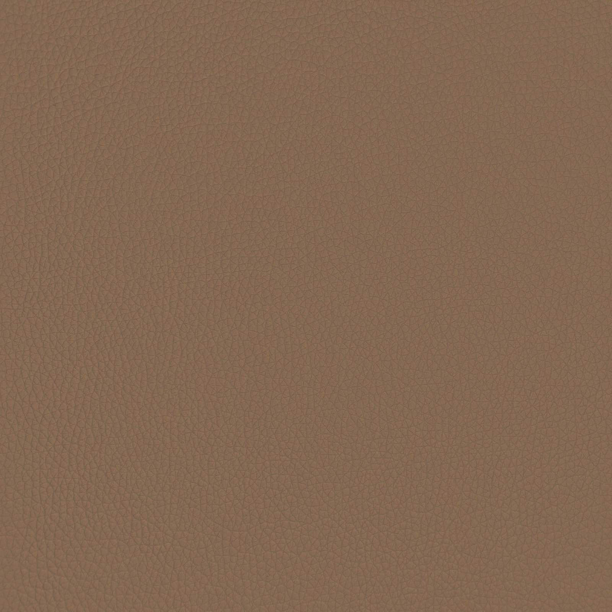 Fauteuil Cappuccino Kunstleer