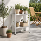 Planttafel 60x40x80 cm roestvrij staal