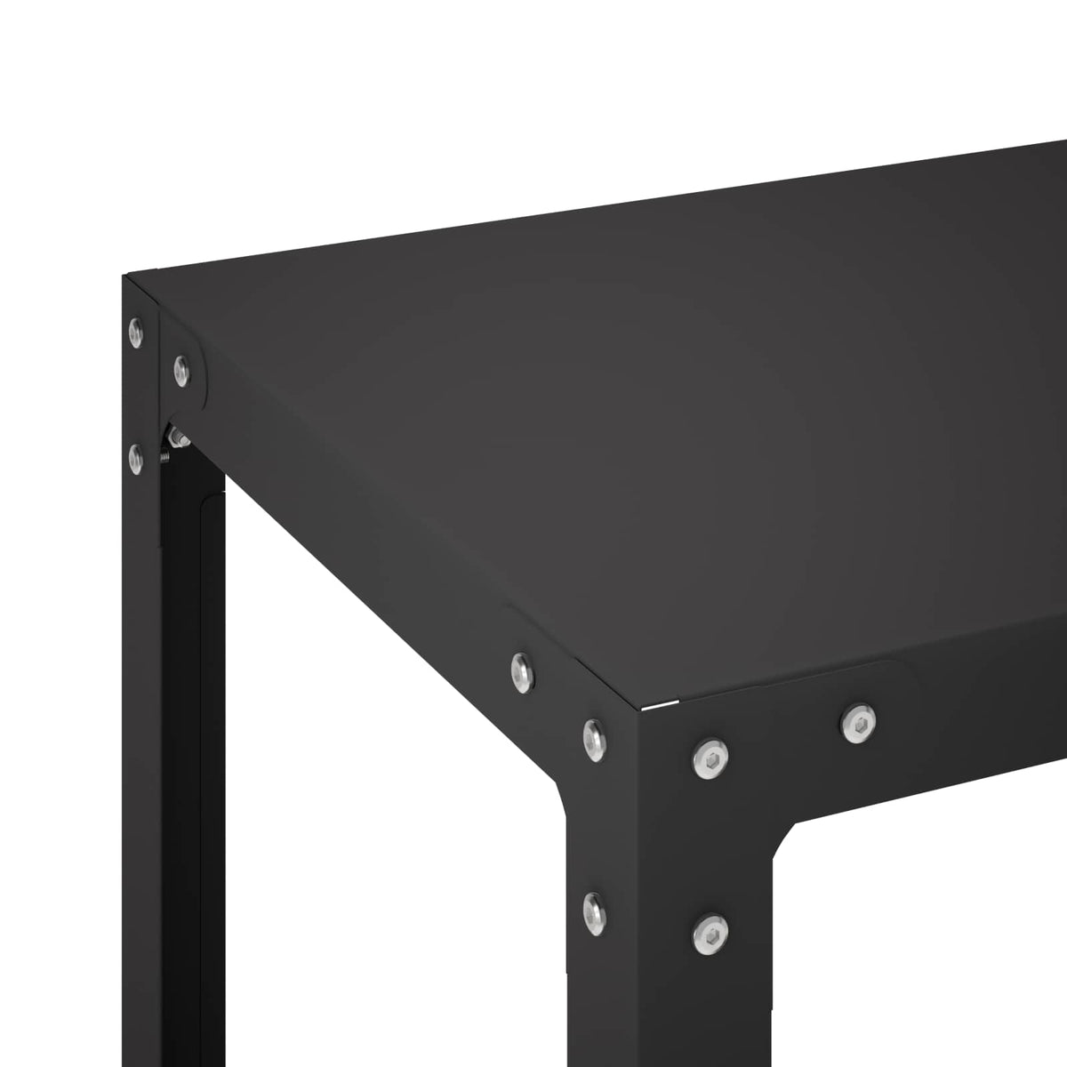 Planttafel 100 x 50 x 80 cm Gepoedercoat staal Zwart