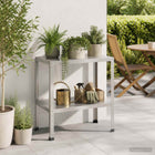 Planttafel 100x50x80 cm roestvrij staal