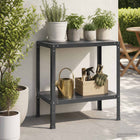 Plantentafel 80x50x80 cm staal zwart