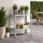 Planttafel 80x50x80 cm gegalvaniseerd staal zilver