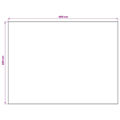 Vloerkleed ORIZ Meerkleurig 300 x 400 cm 100% polyester