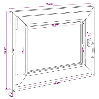 Kelderraam RISOR 50 x 55 cm PVC en glas