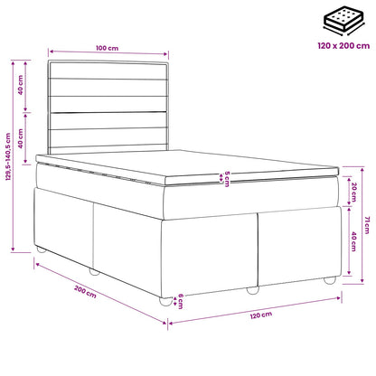 Boxspringbed met matras met hoofdeinde Blauw 120 x 200 cm Stof
