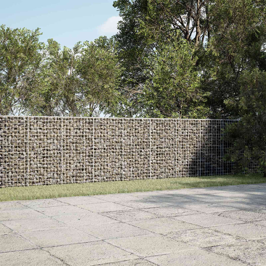 Gabion met 5 mm Draad en 5x5 cm Gaas 750x30x100 cm
