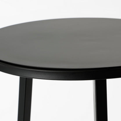Plantentafel 30 cm ijzer zwart