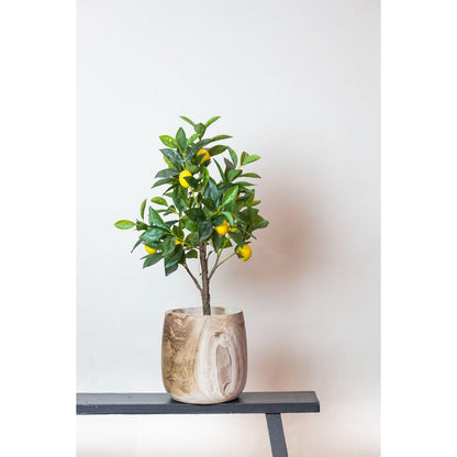 Kunstplant citroenboom 72 cm groen geel