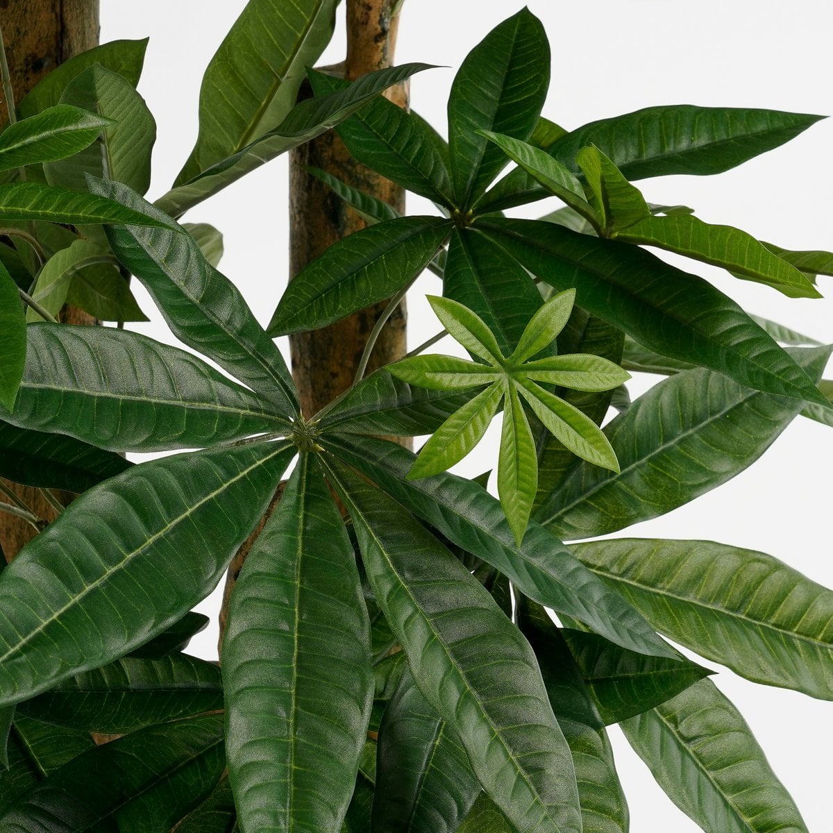 Kunstplant Pachira 175 cm groen