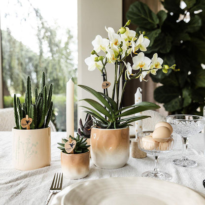 Decoratieve Bloempot met Kleurverloop - Bruin Ø6cm