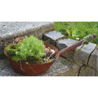 Decorative metal pan for planting garden decoration patina