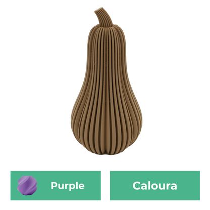 Caloura Pumpkin