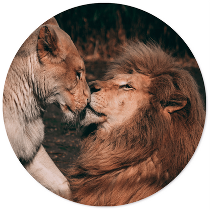 Muurcirkel lion couple Dibond 12-140 cm