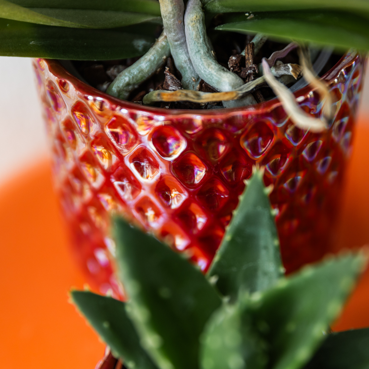 Red Decorative Pot with Diamond Texture Ø9 cm