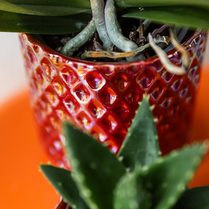 Red Decorative Pot with Diamond Texture Ø9 cm