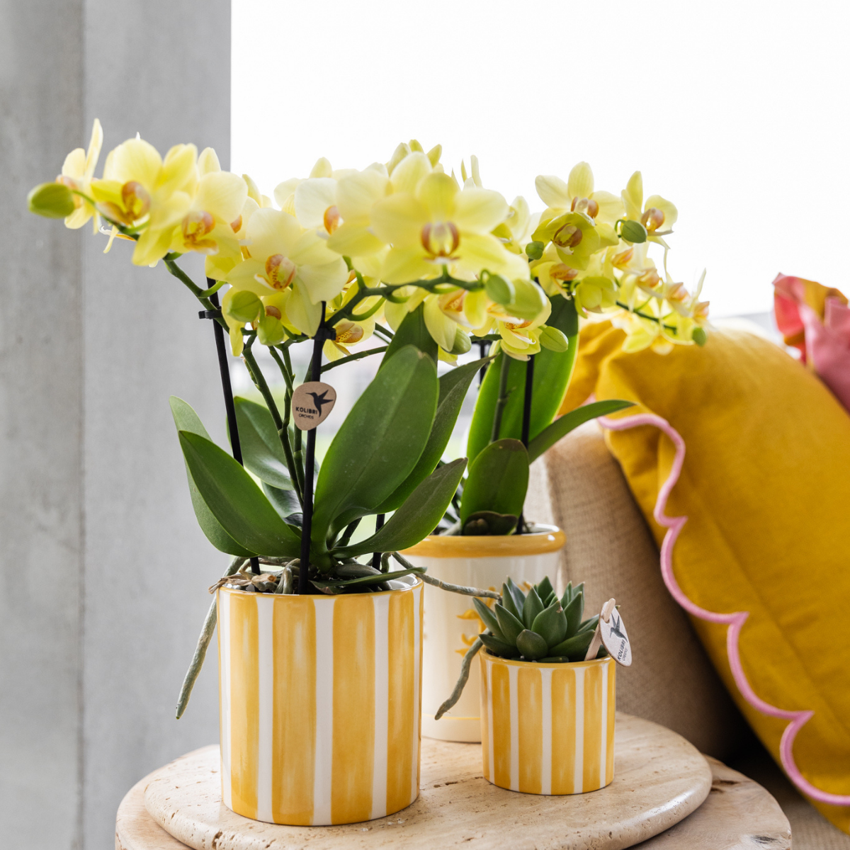 Striped Ceramic Decorative Pot Yellow