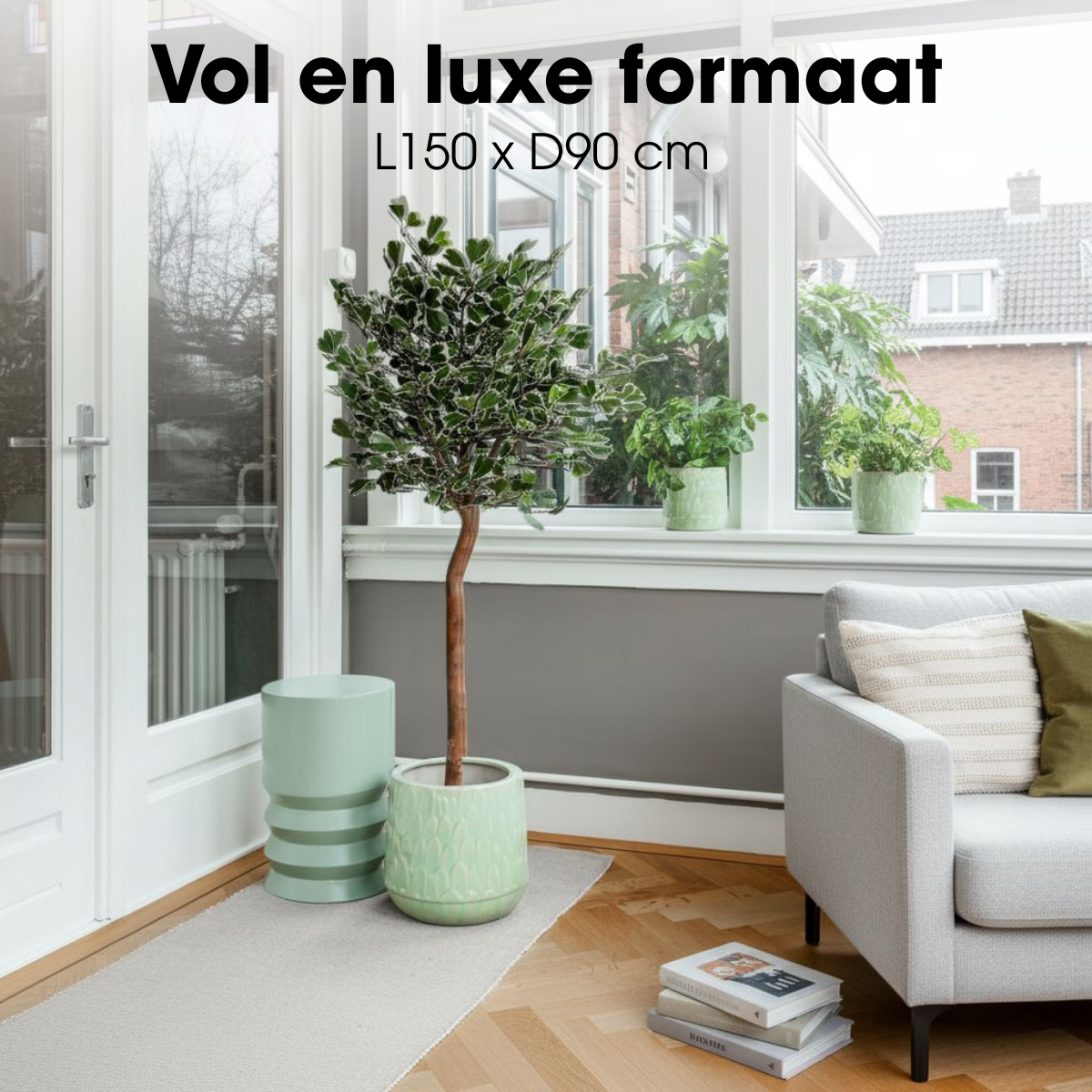 Kunstplant Ficus Triangularis 150 cm groen