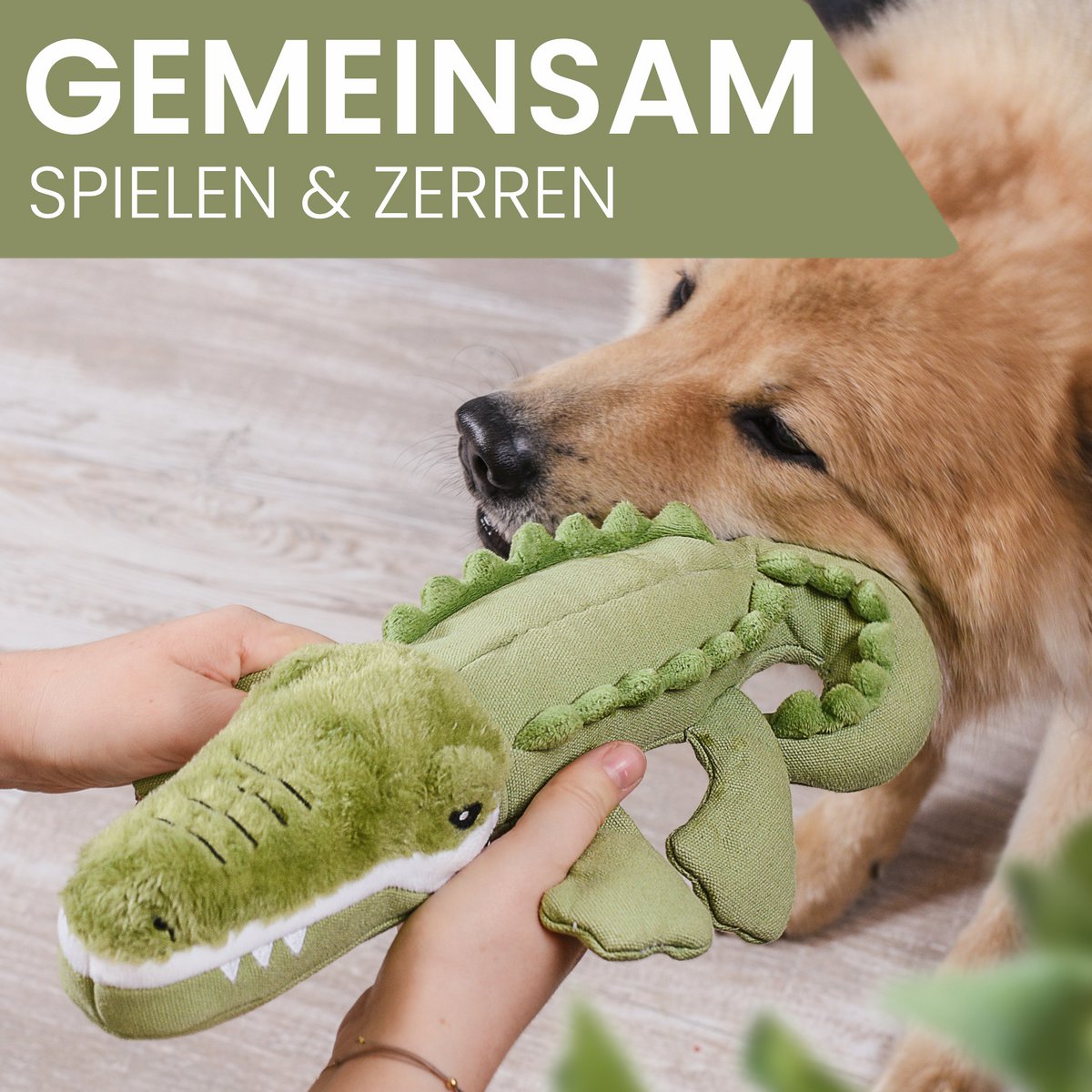 Hondenspeelgoed krokodil met pieper groen 6x36 cm