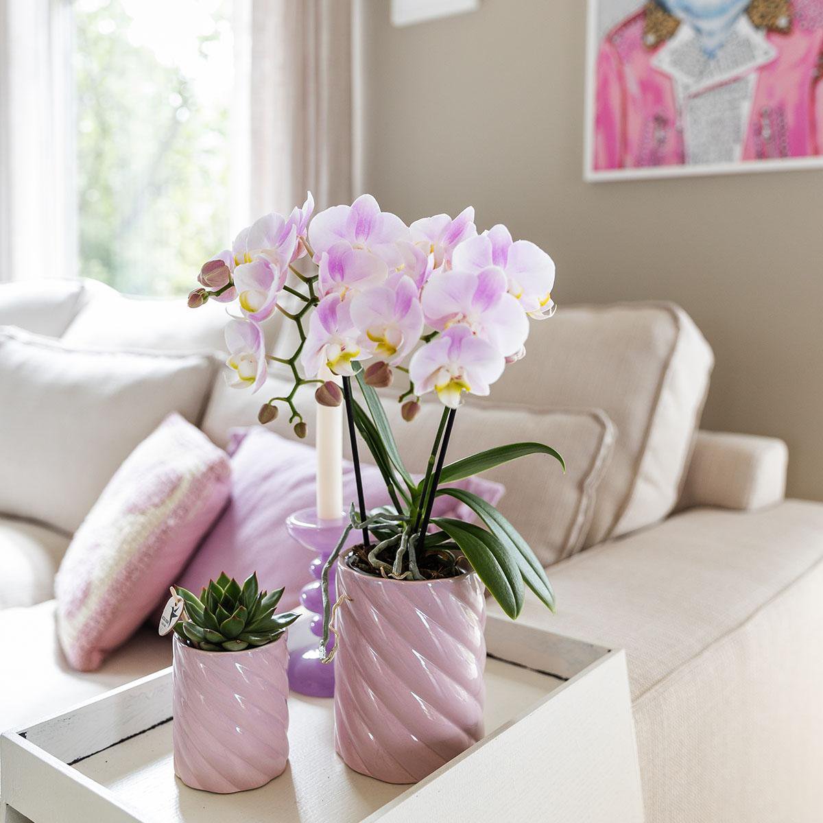 Sierpot keramiek Ø6 cm roze