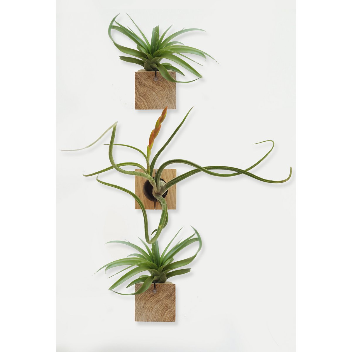 Cube - Light oak - Set of 3