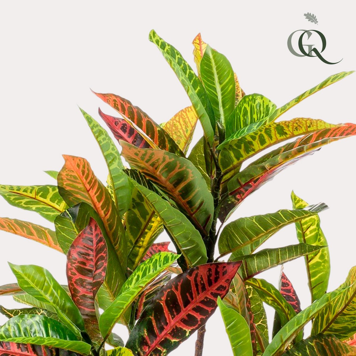 Artificial Plant Croton Codiaeum Wonder Shrub 95 cm Beautiful